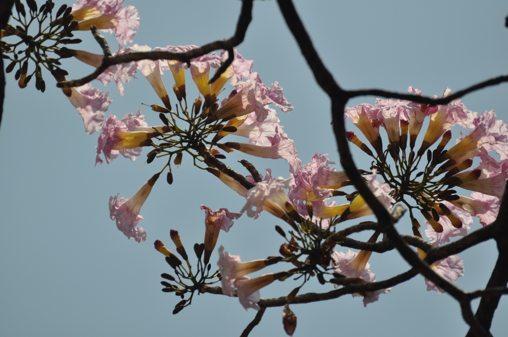 17 - Imagens do CEU.jpg